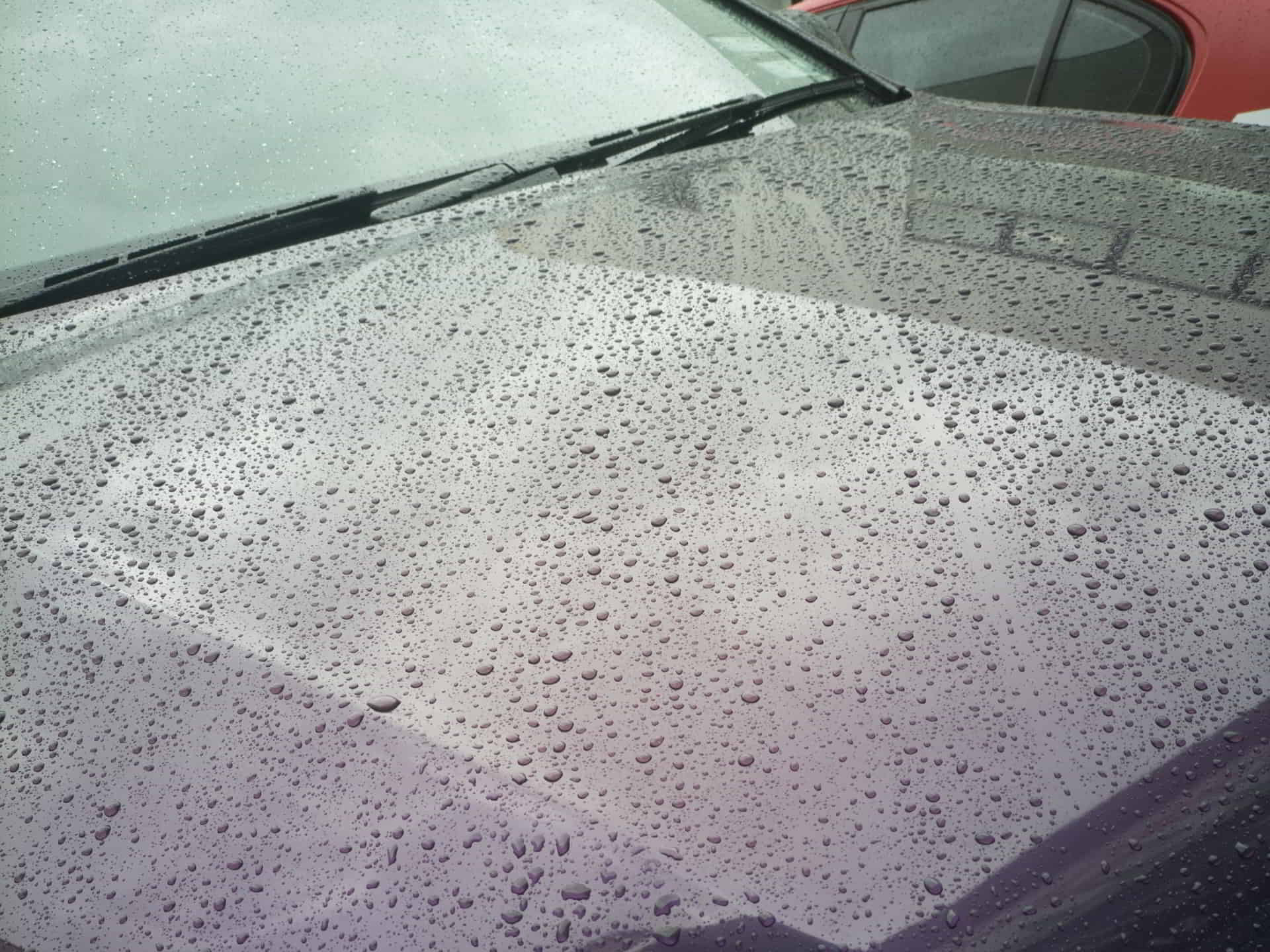 purple car hood paint protection film studio finish rosedale auckland nz