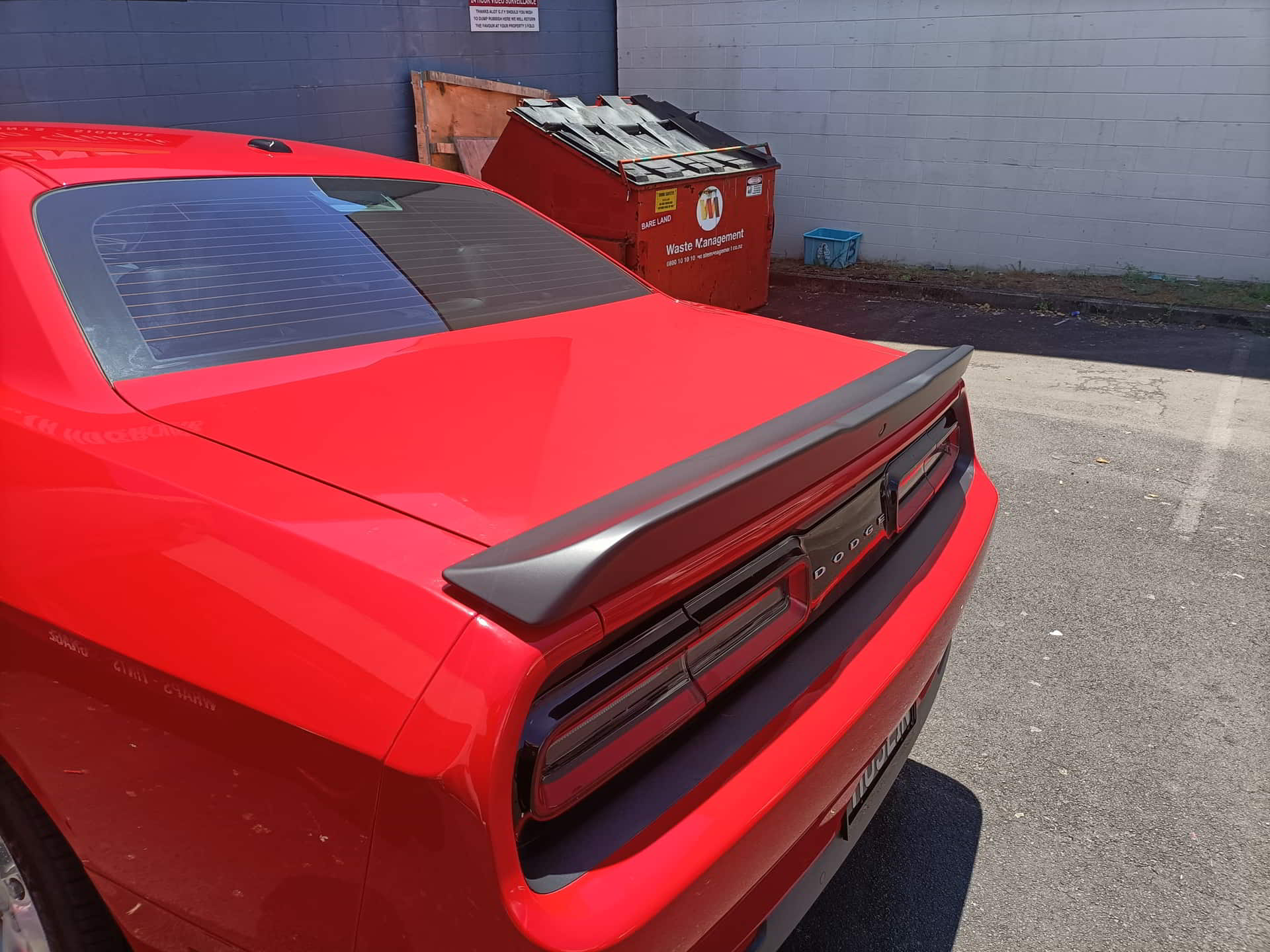red car tail paint protection film studio finish rosedale auckland